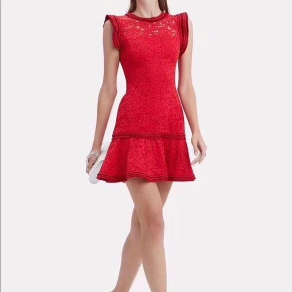 Alexis Dresses & Skirts - Alexis Red Lace Dress - BNWT